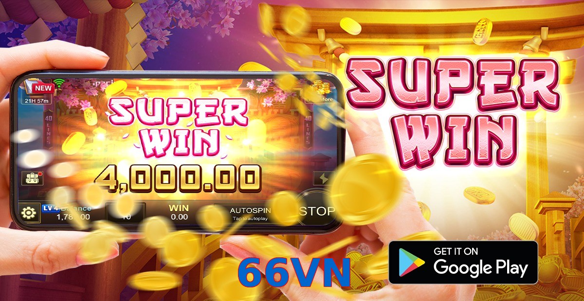 66VN