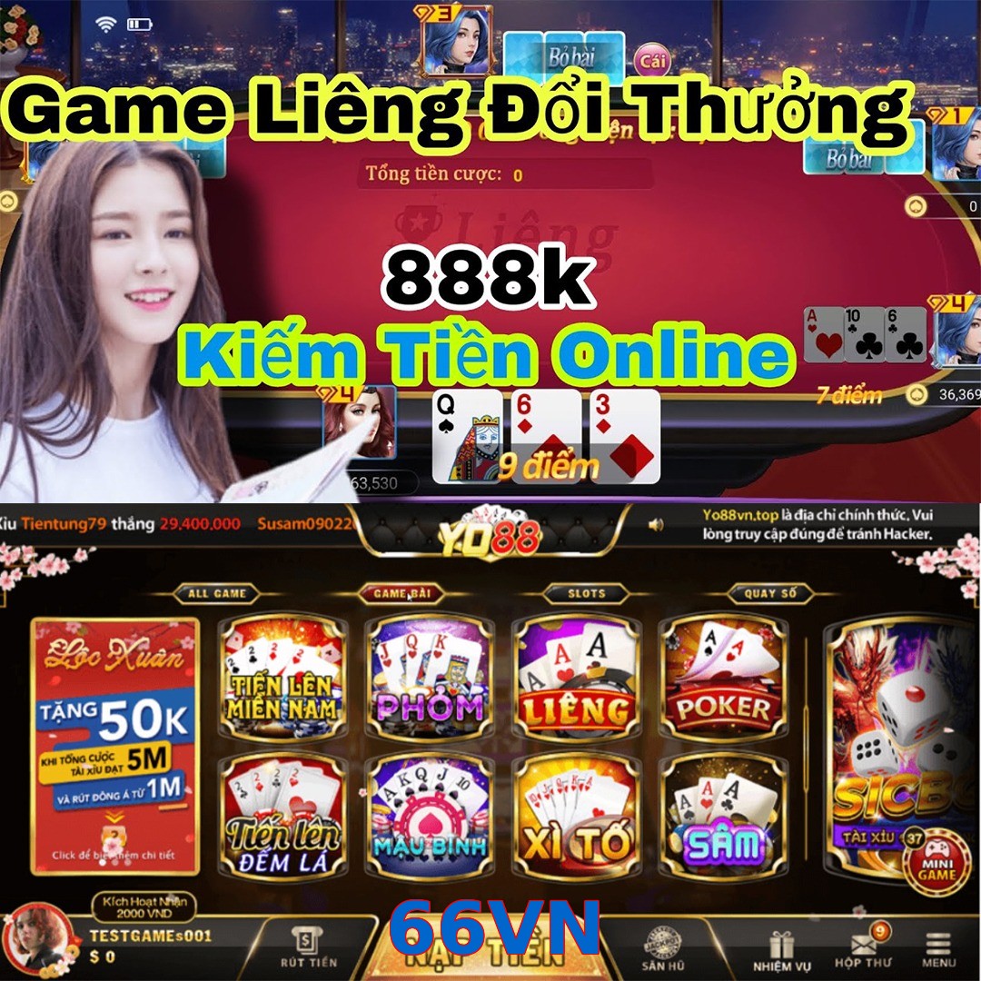 66VN