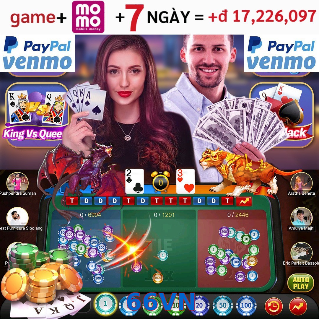66VN
