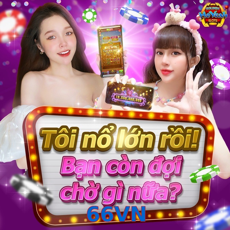 66VN