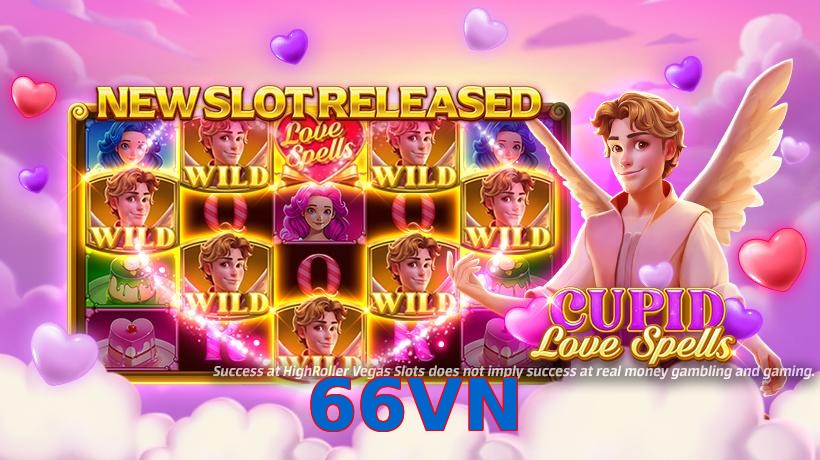 66VN