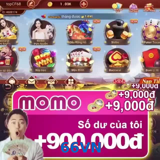 66VN