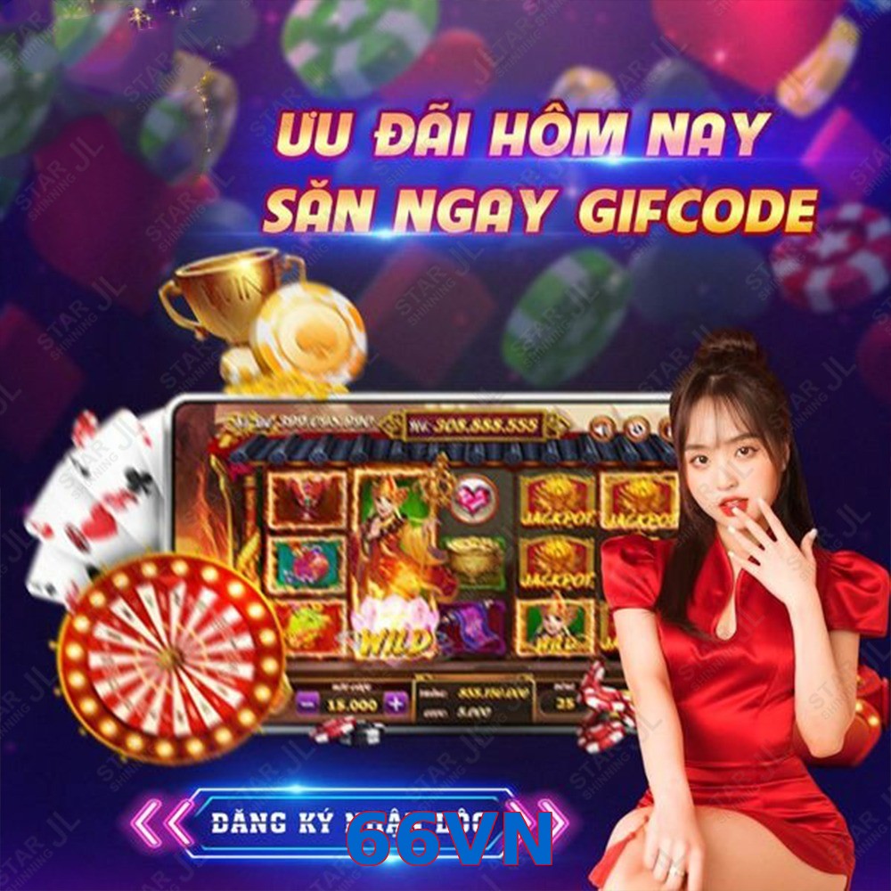 66VN