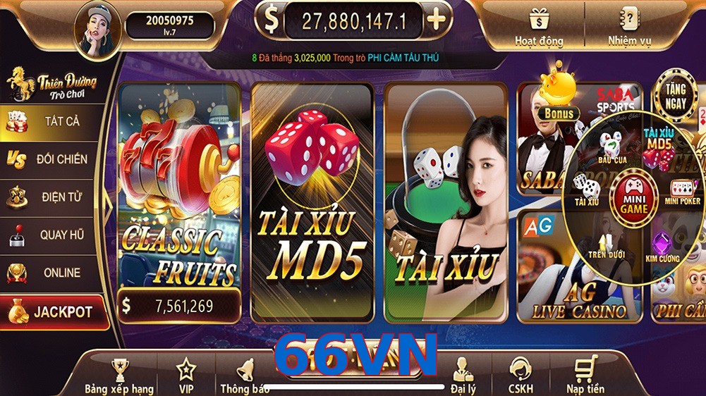 66VN