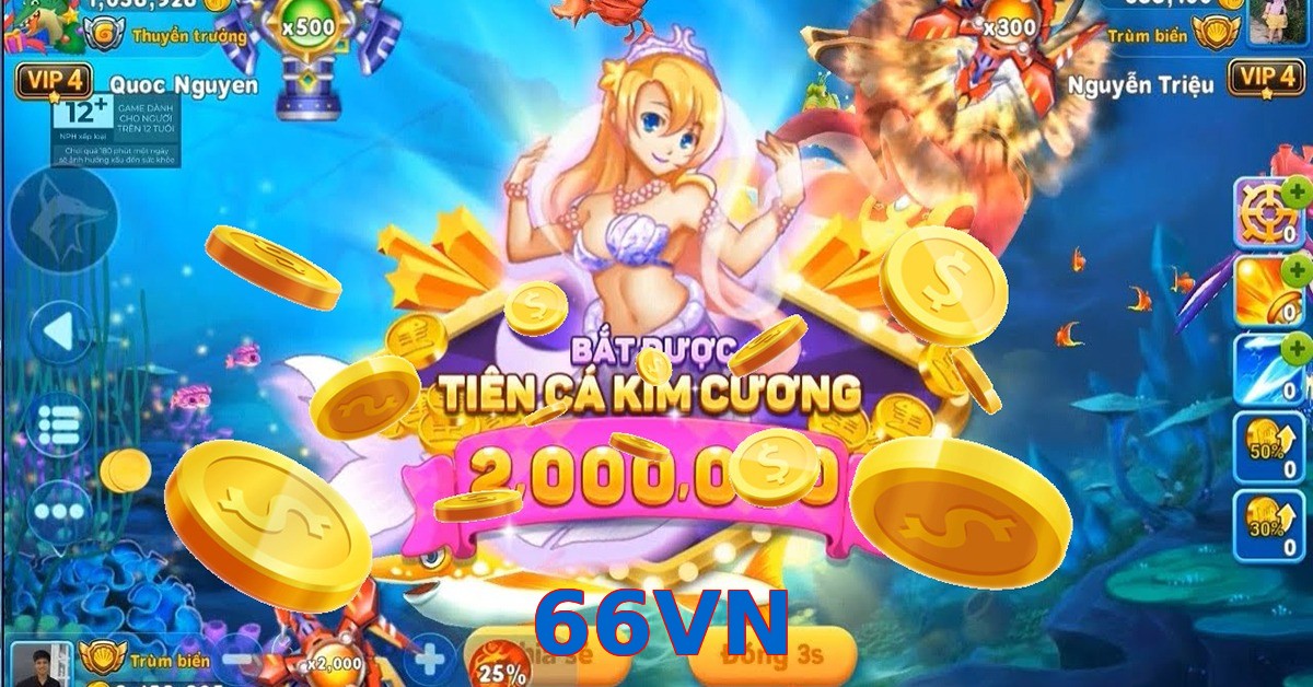 66VN
