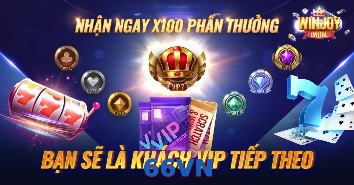 66VN