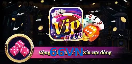 66VN
