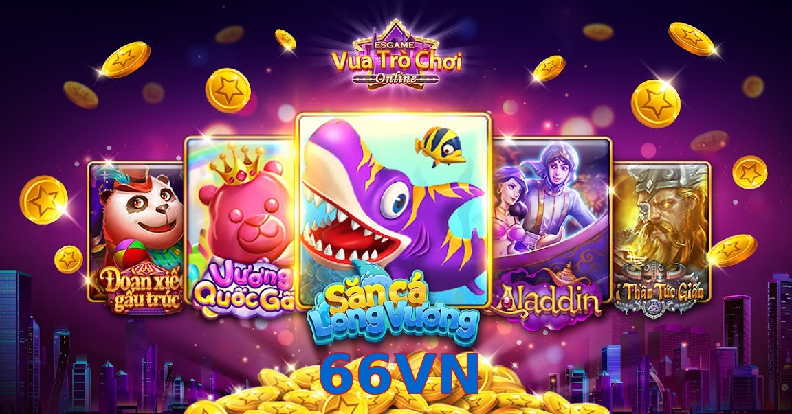 66VN