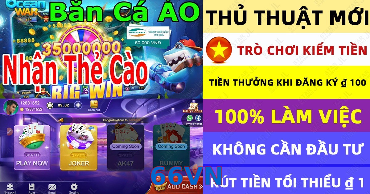 66VN