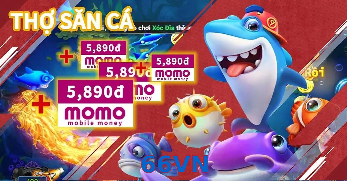 66VN