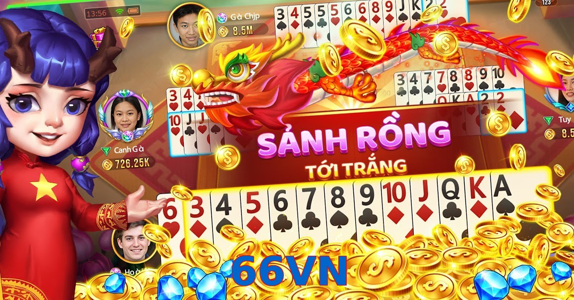 66VN
