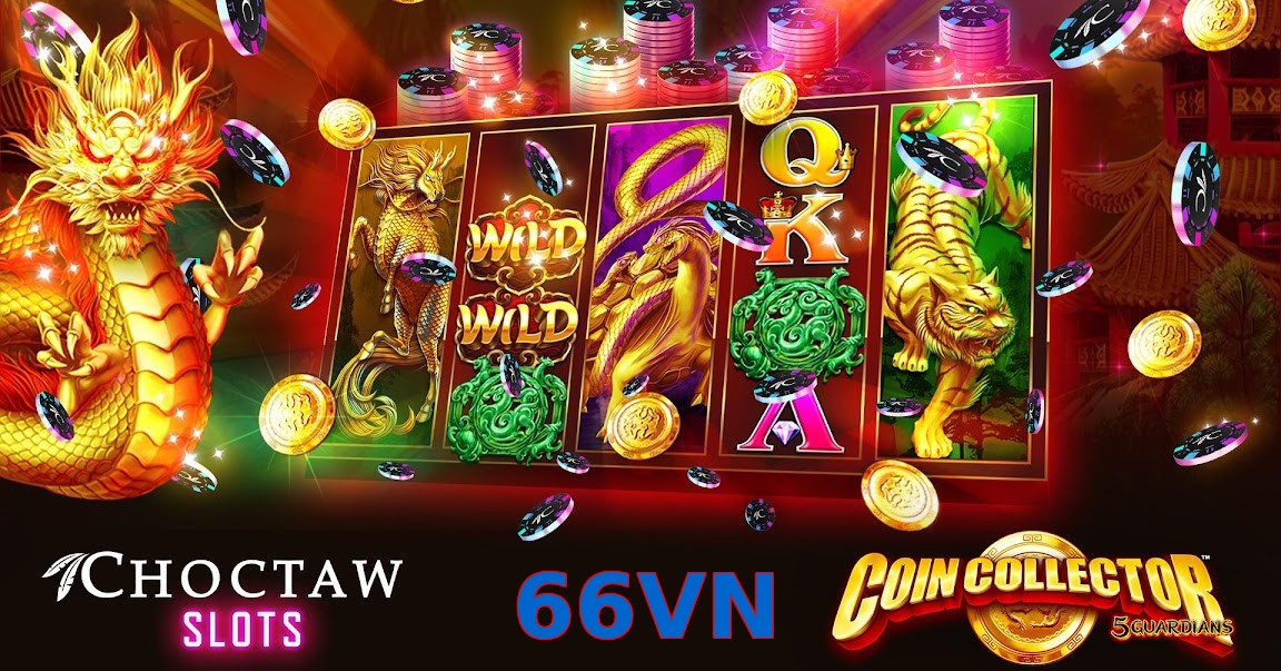 66VN