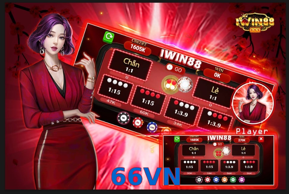 66VN
