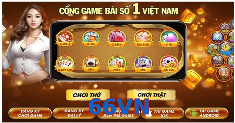 66VN