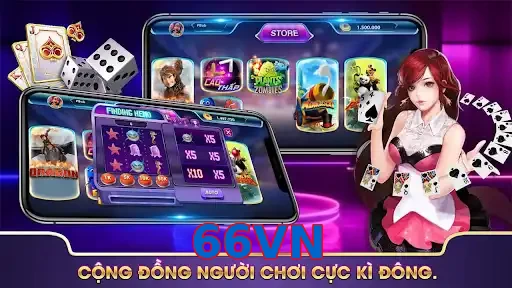 66VN