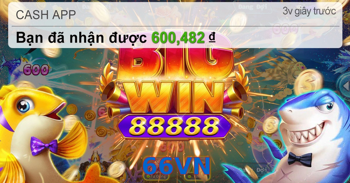 66VN
