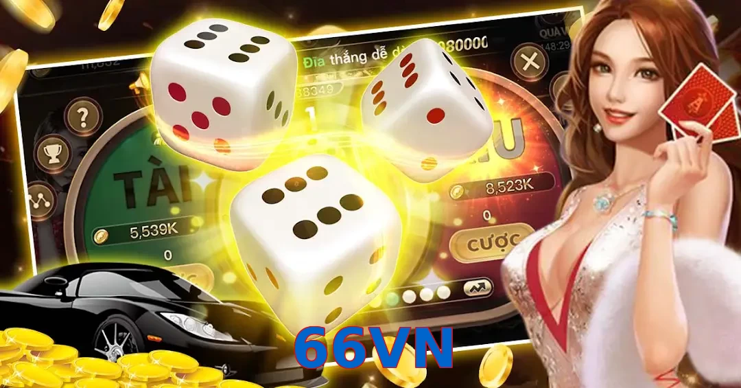 66VN