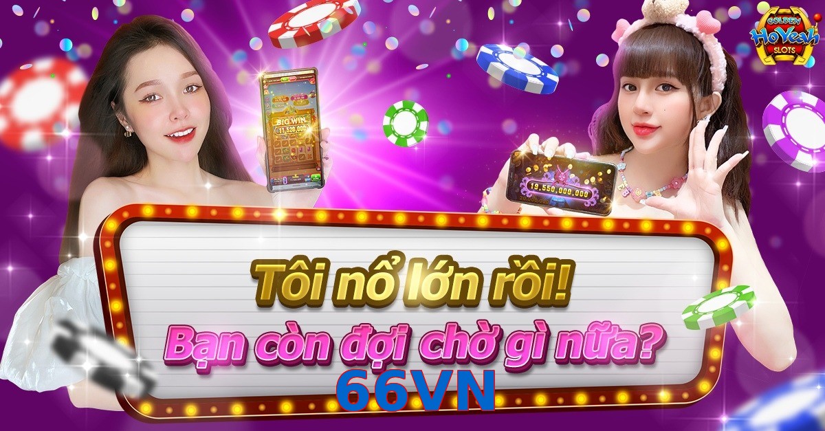66VN