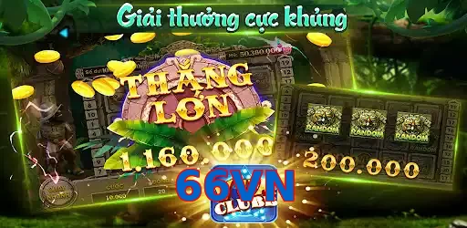 66VN
