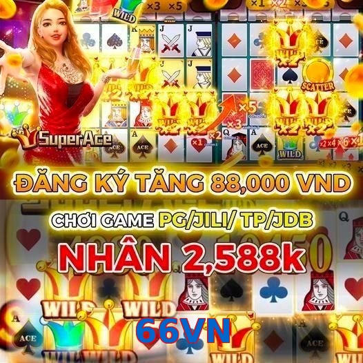 66VN