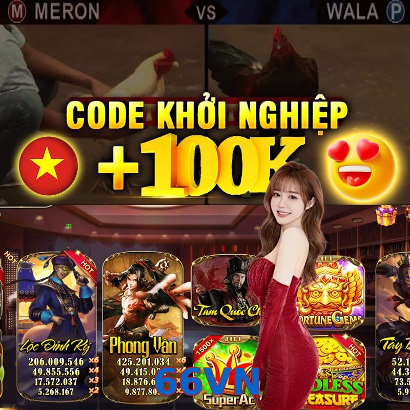 66VN